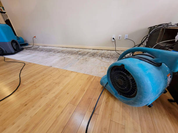 Professional Water Damage Repair technician working in North Berwick, ME